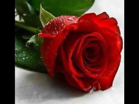 uğur şenel bir kadın seni seviyorsa