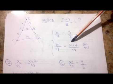 retas paralelas cortadas por transversais