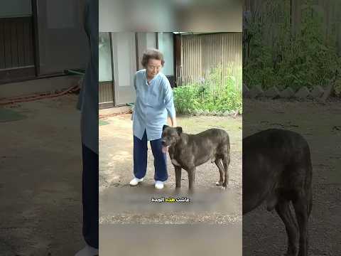 بعد 5 سنوات… لحظة واحدة غيّرت كل شيء! 🥺❤️‍🩹