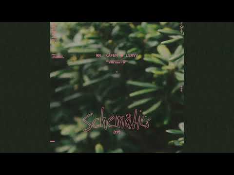 Mr. Käfer x Leavv - Conscious