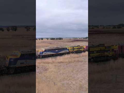 Drone Crash Into Tree While Chasing SSR Broad Gauge Grain Train P17 T363 B80 (6/2/2023) - PoathTV
