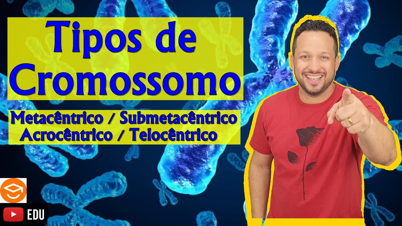 Tipos de Cromossomos - Metacêntrico / Submetacêntrico / Acrocêntrico / Telocêntrico - Citologia
