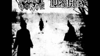VIOLENT GORGE from split LP w/ PLAGUE (2014)