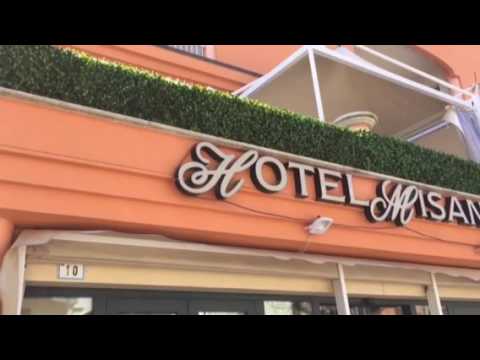 Siepe artificiale di Gelsomino