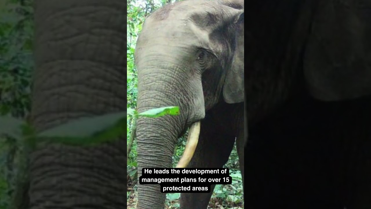 Championing Wildlife and Protected Areas in Cameroon