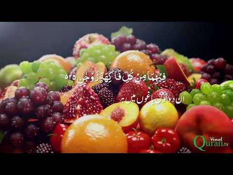 Surah Rahman With Urdu / Hindi Translation & Visual Effects سورة الرحمن┇Beautiful Quran Recitation
