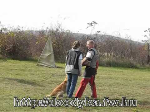 Bozso IPO1 C 16.10.2010