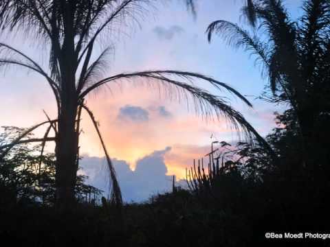 Atardi Korsou ta Bunita