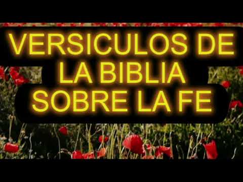 Descubre los versículos más poderosos sobre la fe en la Biblia