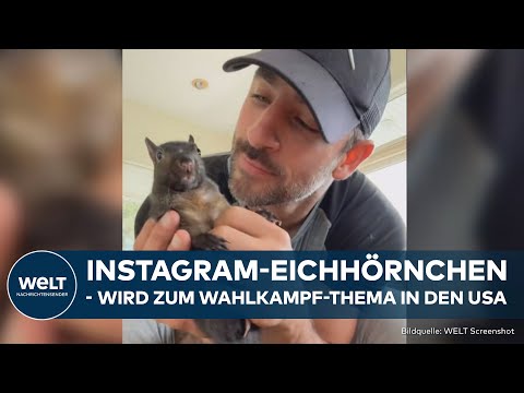 Video Thumbnail: INSTAGRAM-EICHHÖRNCHEN TOT: Peanut wird zum Politikum - Republikaner geben Demokraten die Schuld