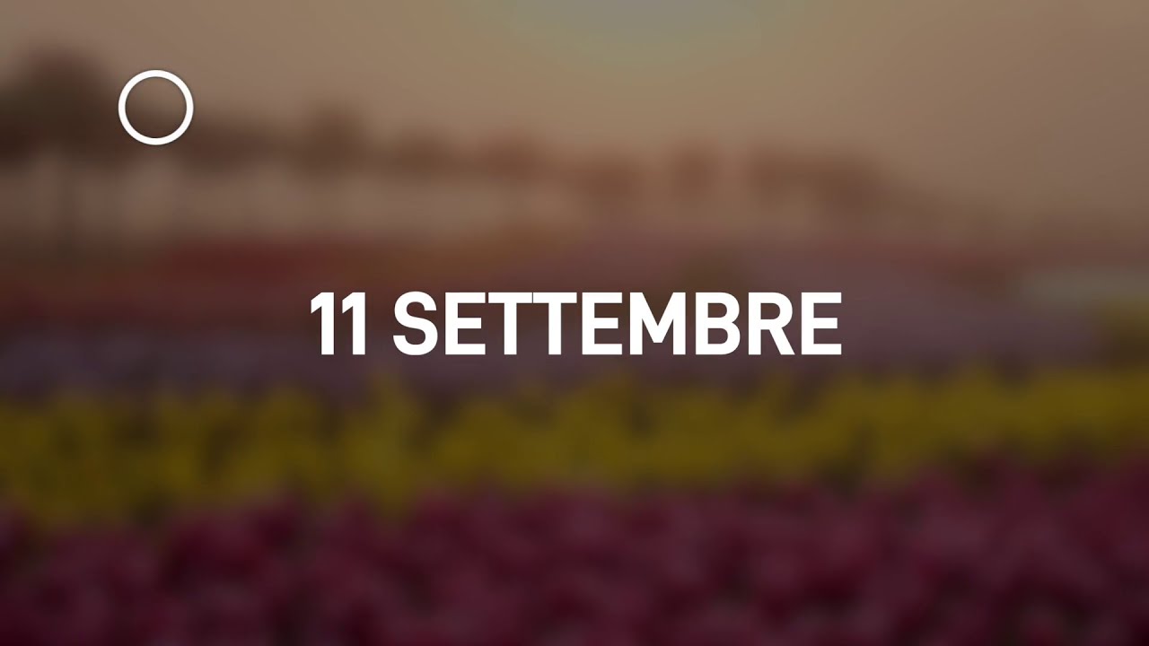 11 Settembre 2024 | Meditazione Parole di Vita