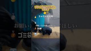プライドなんてない  #めっちゃカメレオン