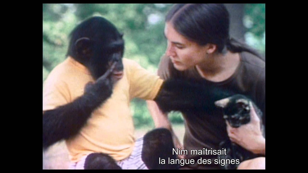 Miniature de la vidéo LE PROJET NIM - Bande Annonce VOST du film Le Projet Nim