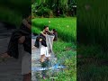 Koodalnagar Love Youtubeshorts Tamil Shortstamil Trending Viral Lovewhatsappstatus Movies