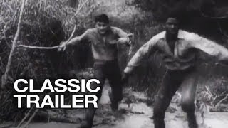 The Defiant Ones (1958) Video