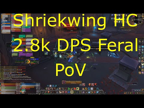 Shadowlands 9.0.2 - Feral Druid pov - Shriekwing Heroic Boss Kill Guide 2.8k DPS.