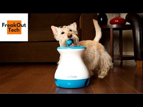 5 Cool Gadgets For You And Your Dog Video