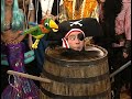 Spongebob The Lady S Are Here Spongebob S House Party
