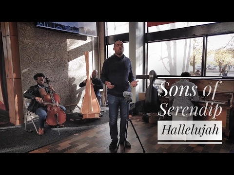 "Hallelujah" (Leonard Cohen Tribute) - Sons of Serendip