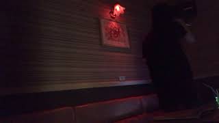 love yourself 君が嫌いな君が好き  KAT-TUN  カラオケ