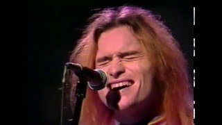 Jellyfish - All I Want Is Everything [1991]