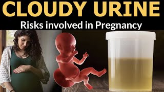 Cloudy Urine in Pregnancy || When to worry and When not to during Pregnancy when urine is cloudy