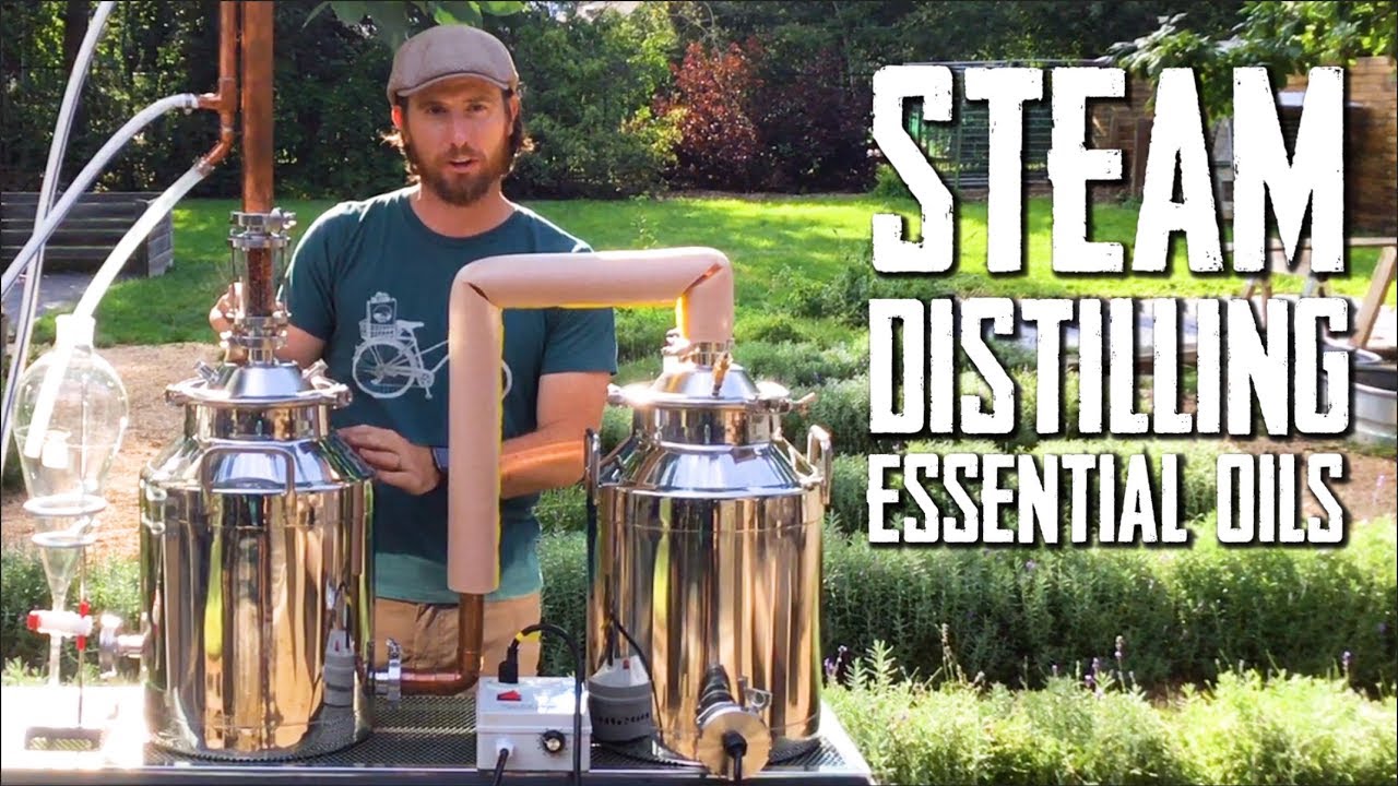 How to Steam Distill Essential Oils