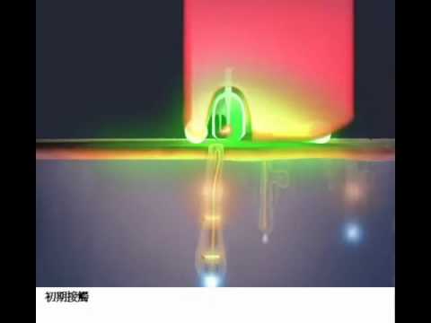 no!no! Hair Removal How it Works