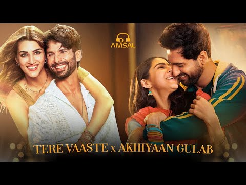 Tere Vaaste x Akhiyaan Gulaab | Shahid Kapoor | Vicky Kaushal | DJ Amsal Mashup