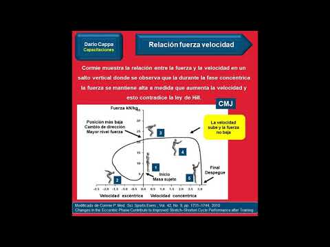 Relación fuerza velocidad