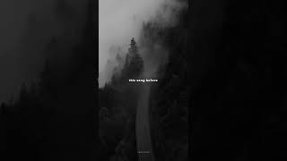 Download lagu Homage - Mild High Club //slowed and reverb//short lyrics//#shorts#lyrics#homage mp3