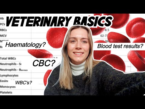 VETERINARY BASICS: How to read a blood test! CBC & Haematology