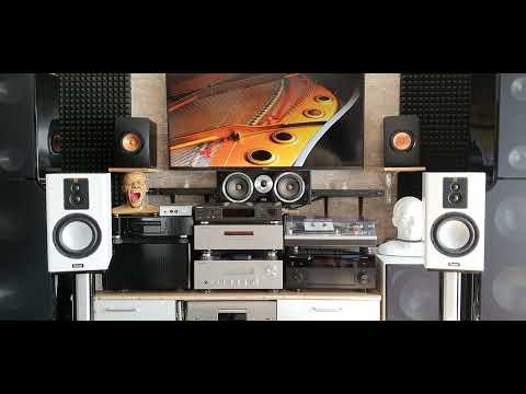 #Magnat Signature 703(Laura Daigle-Hold on me)