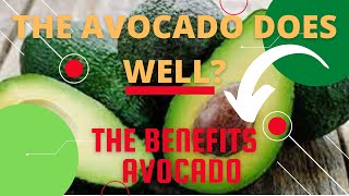 THE SECRET TO THE BENEFIT OF AVOCADO | NATURE OF THE AMAZON