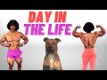 Day in the Life of an Influencer | Online Coach Life, Dog Dad Duties, Content Creation