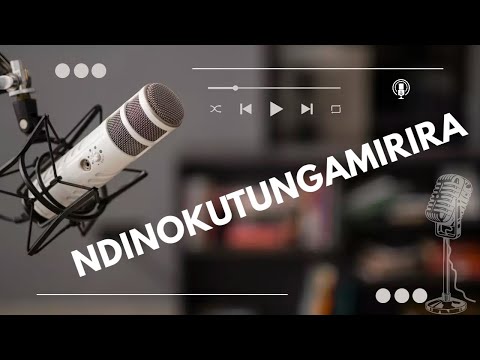 Ndinokutungamirira