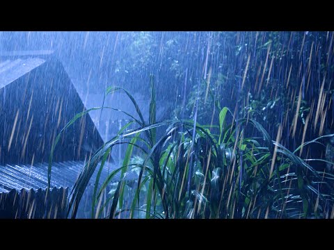 Beat Stress & Goodbye Insomnia in 3 Minutes with Heavy Rain,Thunder Sounds on a Tin Roof at Night #1