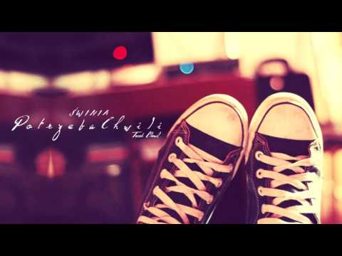 Świnia - Potrzeba Chwili (Tecek Blend)