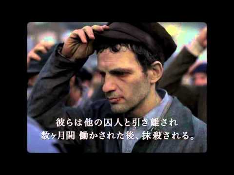 映画『サウルの息子』予告編