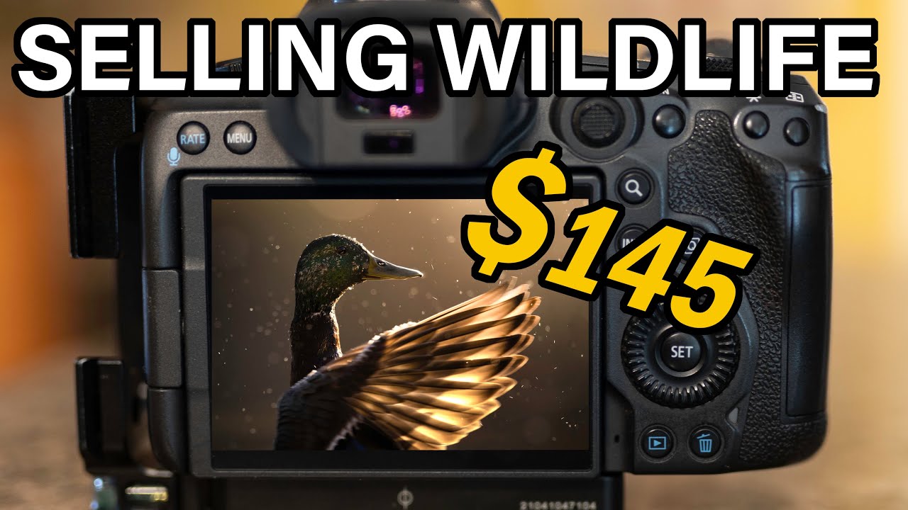 How much does a wildlife photographer make?