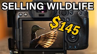 MONETIZE YOUR WILDLIFE AND NATURE PHOTOGRAPHY: and, how to take photos that will