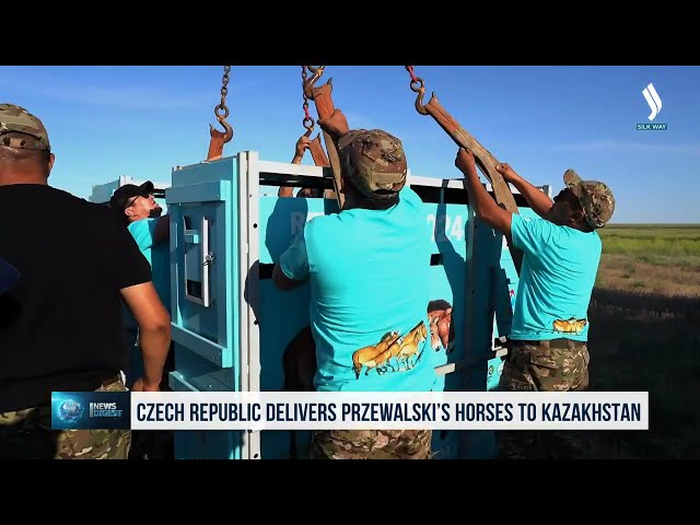 Қазақстанға Чехиядан Пржевальский жылқысы әкелінді