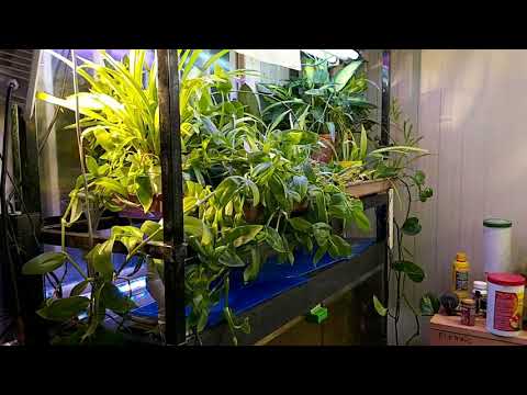 Agricoltura senza terra - Super Piante  - Progetto 21