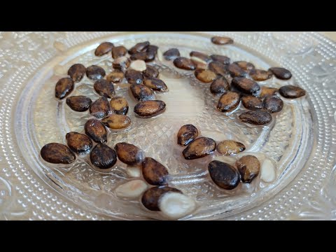 Eliminates muscle spasms, gout, rheumatism, constipation and excess water!