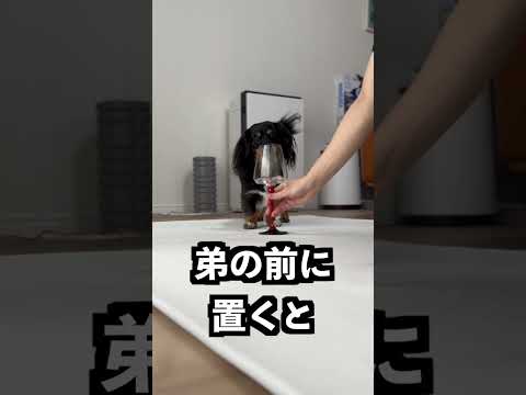 絶対にこぼれないグラスの意味がアホすぎた！