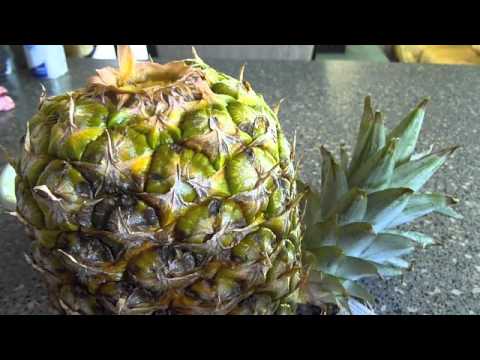 download lagu mp3 mp4 How To Ripen A Pineapple, download lagu How To Ripen A Pineapple gratis, unduh video klip How To Ripen A Pineapple