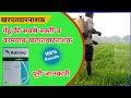 Syngenta Adrino Herbicide Uses In Hindi Syngenta Adrino Metribuzin 70 Wp Hariyalidekhushhali