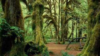 Law Of Attraction Subliminal Audio