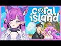 【CORAL ISLAND】chill stream sesekalii