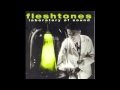 FLESHTONES   sands of our lives